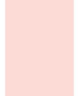 Farvet karton A4 170g pink (10)