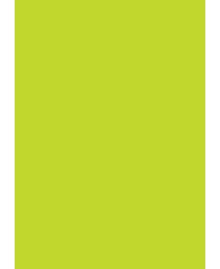Farvet karton A4 170g græsgrøn (10)