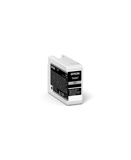 C13T46S700 Gray Ink Cartridge