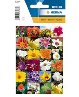 Herma stickers Decor blomster (3)