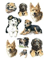 Herma stickers Decor hunde (3)