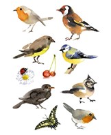 Herma stickers Decor fugle (3)
