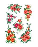 Herma stickers Decor roser  (3)