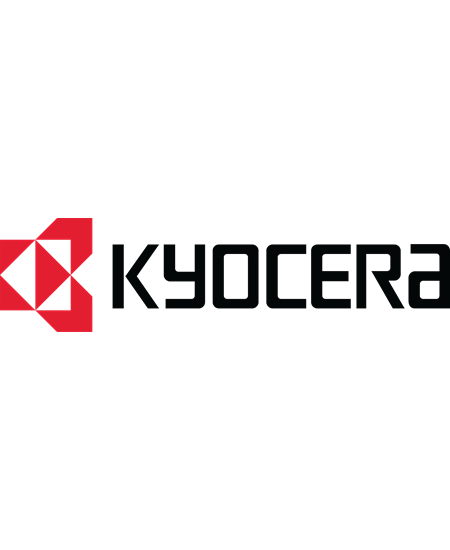 Kyocera MM-20 1GB