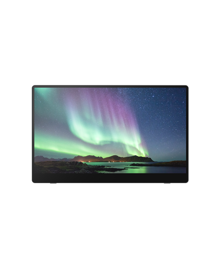 RICOH Portable Monitor 150 OLED 15,6\'\' (Wired)