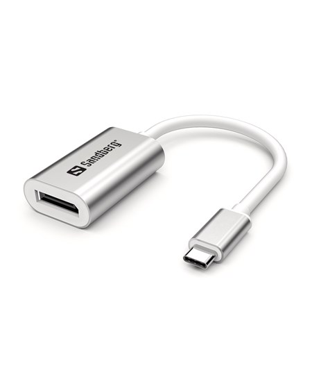 USB-C to DisplayPort Link, Silver