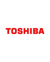 Toshiba e-Studio TFC20EC black toner