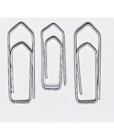 Paper Clips 32mm (100)